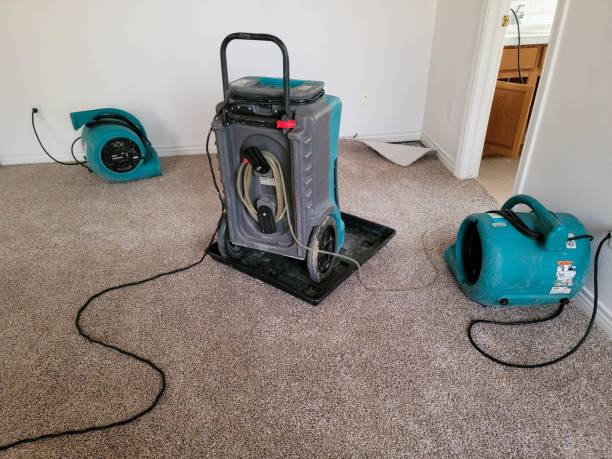 Best 24-hour water damage restoration  in Osseo, MN