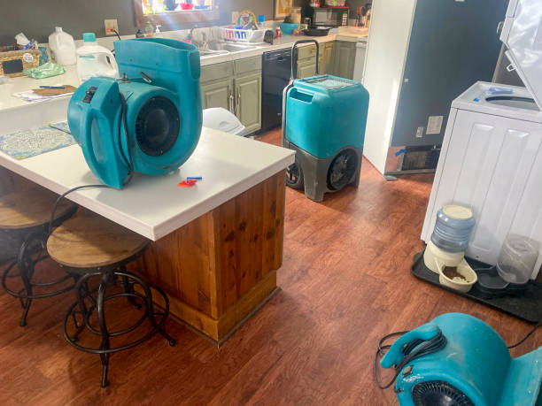 Best Professional water damage repair  in Osseo, MN