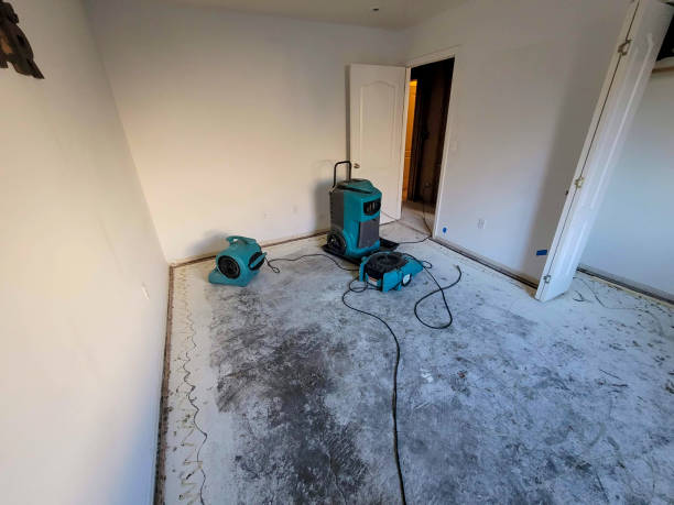 Best Water damage restoration near me  in Osseo, MN