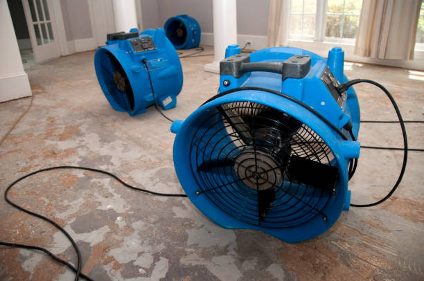 Best Water damage repair service  in Osseo, MN