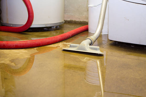 Best Commercial water damage restoration  in Osseo, MN