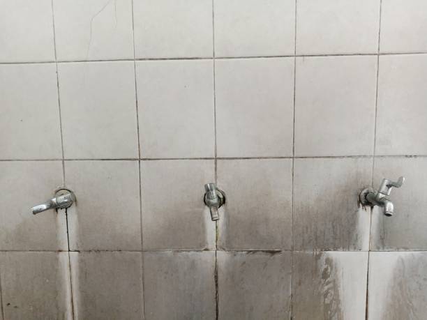 Best Sewage cleanup and water damage restoration  in Osseo, MN