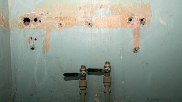 Best Carpet water damage restoration  in Osseo, MN