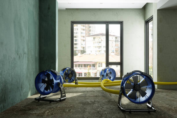 Best Water damage restoration near me  in Osseo, MN